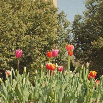 皇冠新体育·(Crown)